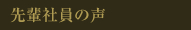 先輩社員の声